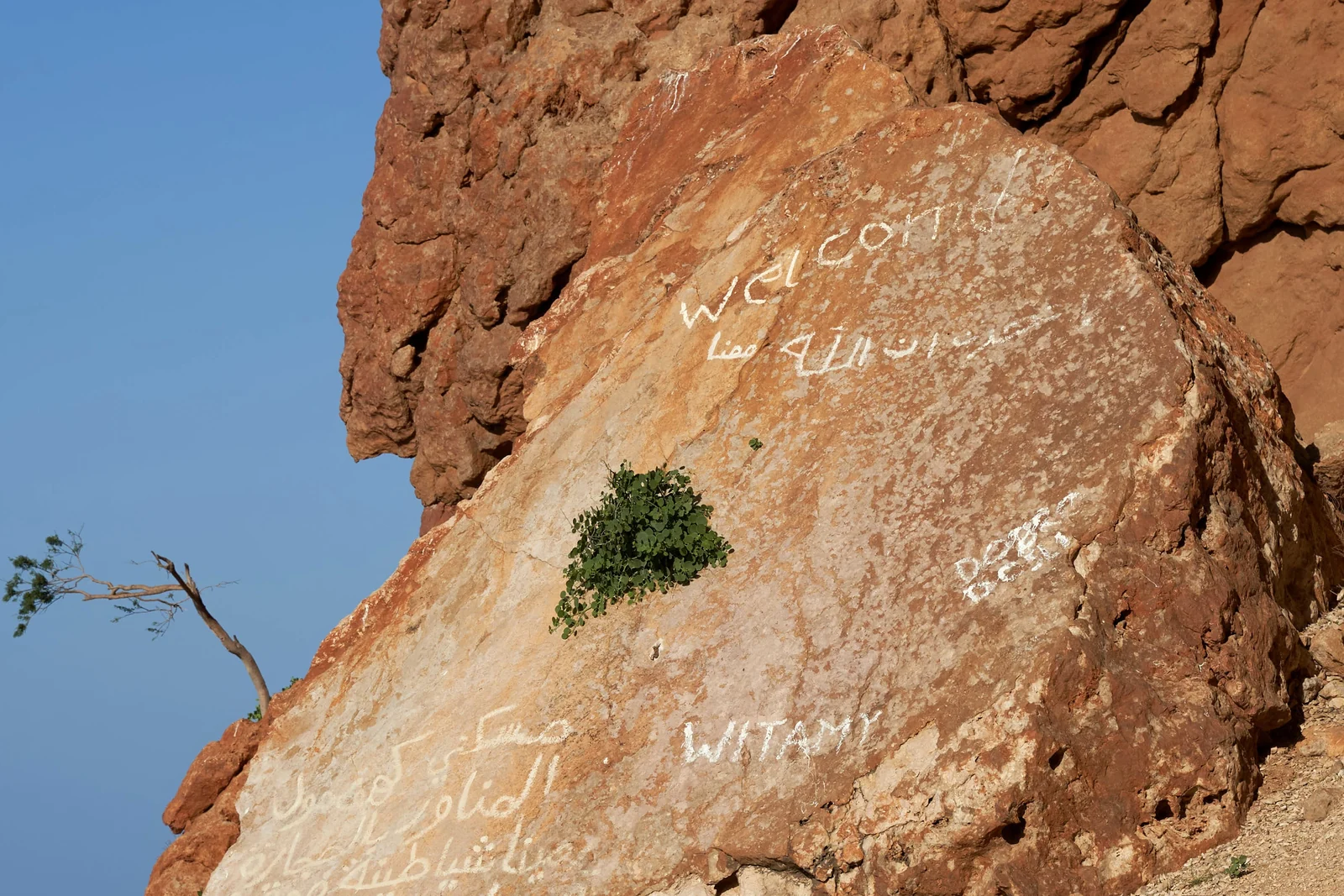 Welcome markings on a sunlit rock face beside the sea